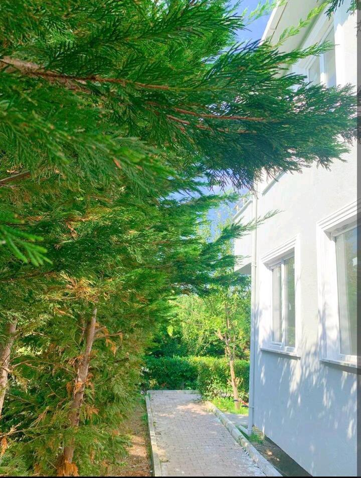 Ahmet Teacher Hotel, 5 Minutes From The Airport Arnavutkoy Exterior foto